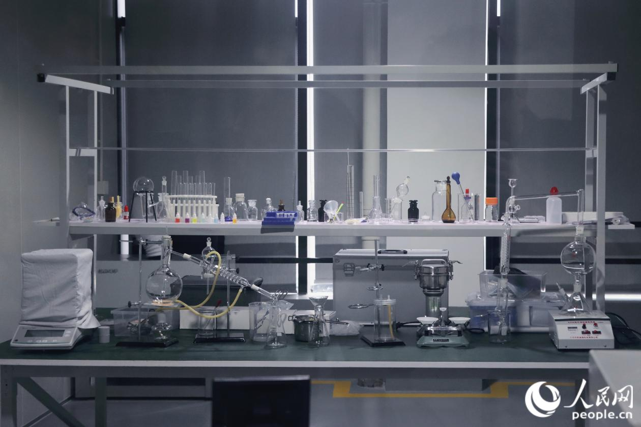 人民網(wǎng)關(guān)注永泰:一顆油茶果的“增值密碼” 人民網(wǎng)關(guān)注永泰:一顆油茶果的“增值密碼”